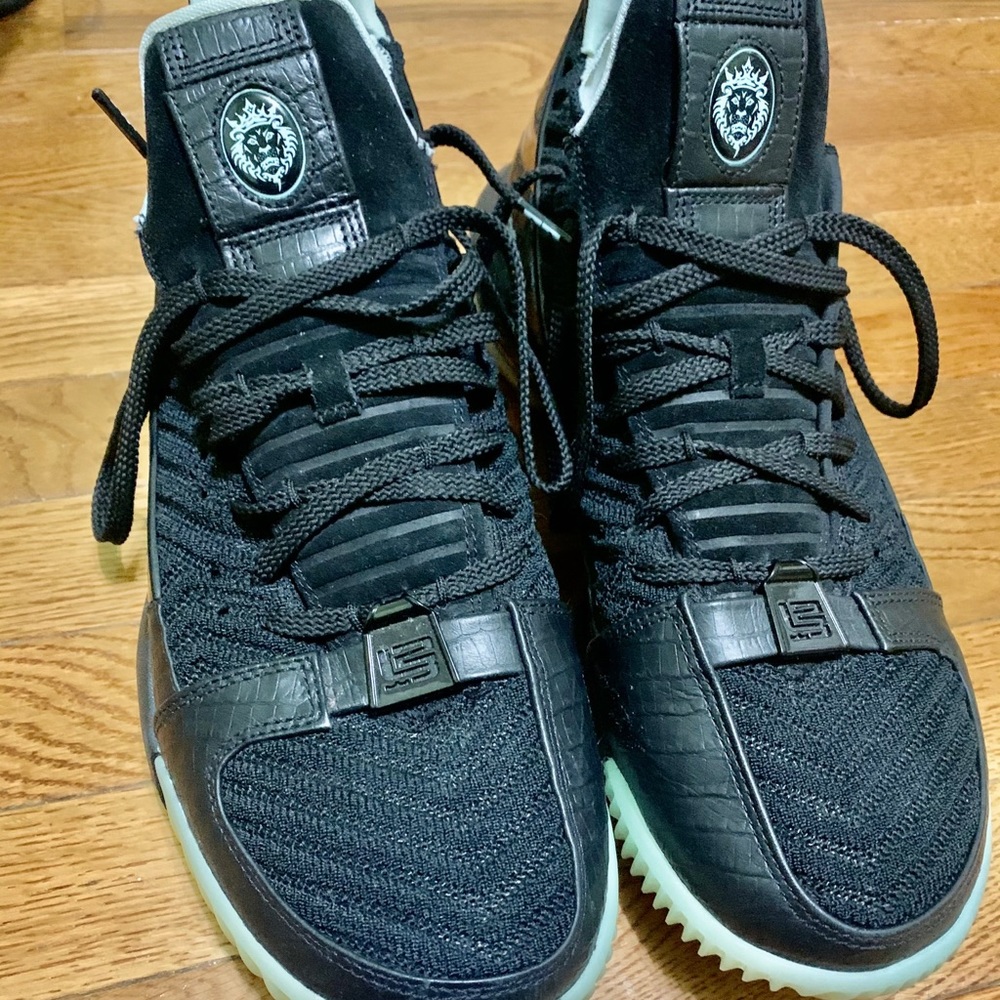 Lebron 16 glow in the dark sneakers all black